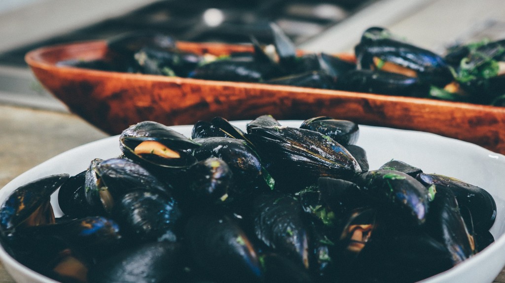 sustainable-mussels